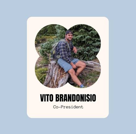 Vito Brandonisio